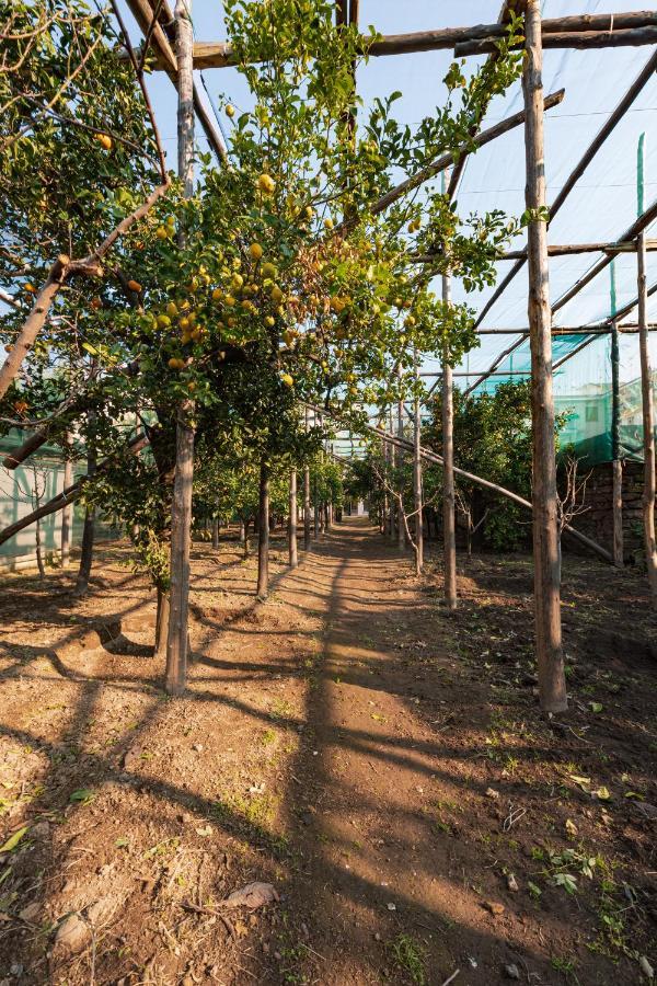 Отель Pane E Marmellata Сант'Анджелло Экстерьер фото