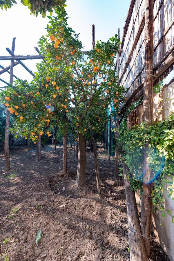 Отель Pane E Marmellata Сант'Анджелло Экстерьер фото