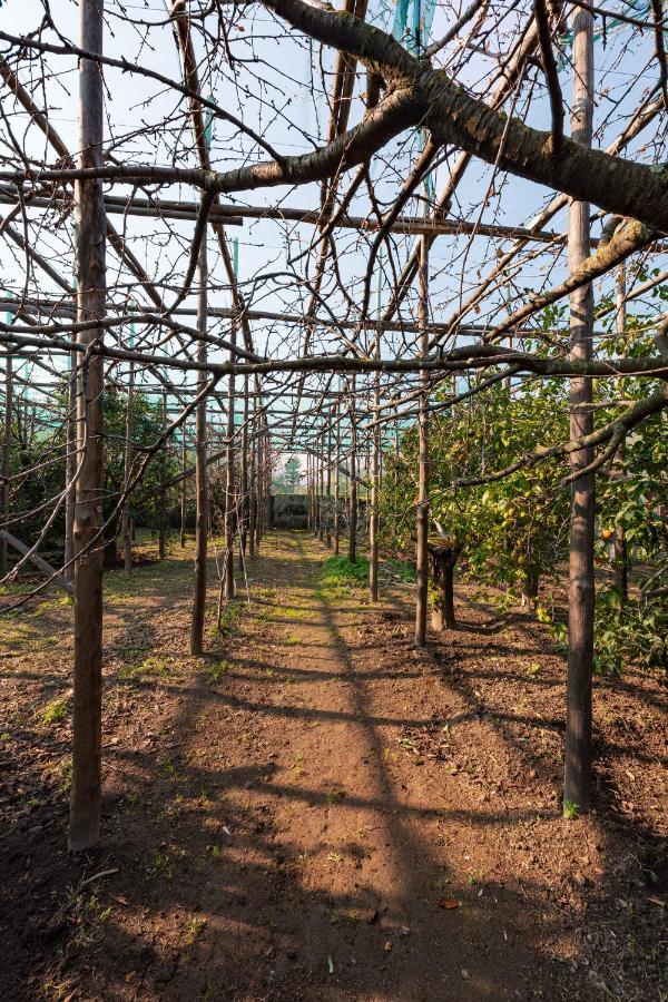Отель Pane E Marmellata Сант'Анджелло Экстерьер фото